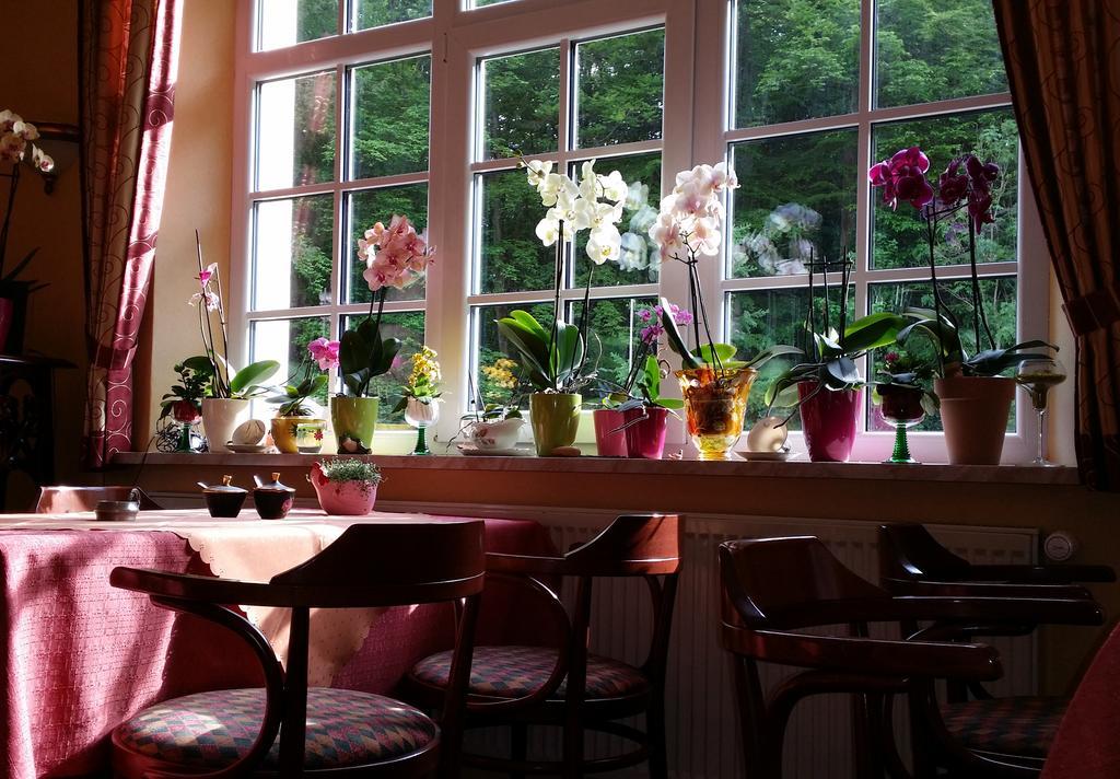 Rhoen Hotel Waldcafe St. Georg Staatsbad Brückenau Exterior foto